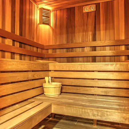 普罗夫迪夫假日酒店&度假村 酒店 普罗夫迪夫