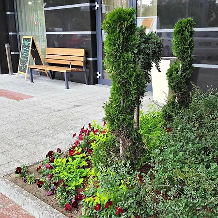 普罗夫迪夫假日酒店&度假村 酒店