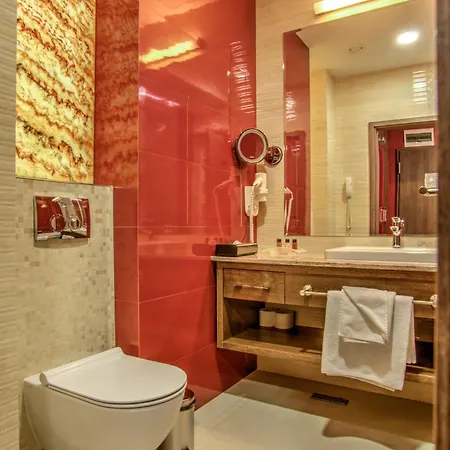 Hotel Holiday Inn Plovdiv By Ihg 4*