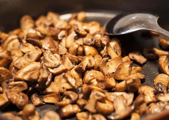 By Ihg Пловдив